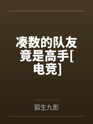 凑数的队友竟是高手百度网盘