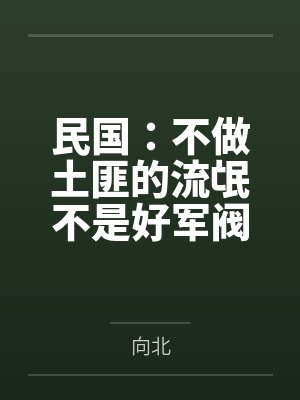 民国：不做土匪的流氓不是好军阀