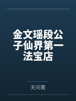 金文瑶段公子仙界第一法宝店
