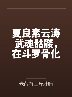 夏良素云涛武魂骷髅，在斗罗骨化须佐